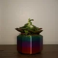 Chậu Succulent (Succulent Pots) – 3 mẫu thiết kế đơn giản - Thumbnail 3