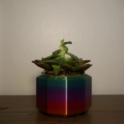 Chậu Succulent (Succulent Pots) – 3 mẫu thiết kế đơn giản