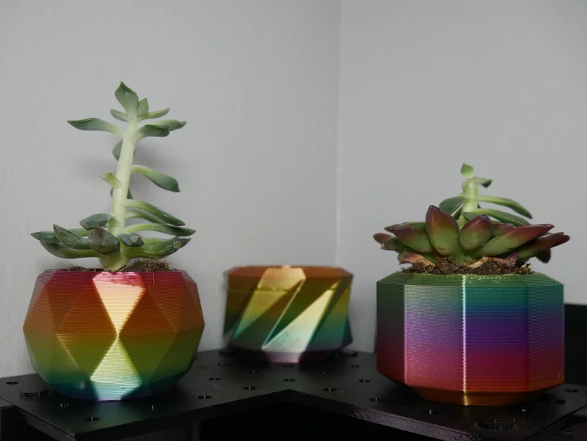 Chậu Succulent (Succulent Pots) – 3 mẫu thiết kế đơn giản - Image 5