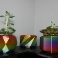 Chậu Succulent (Succulent Pots) – 3 mẫu thiết kế đơn giản - Thumbnail 5