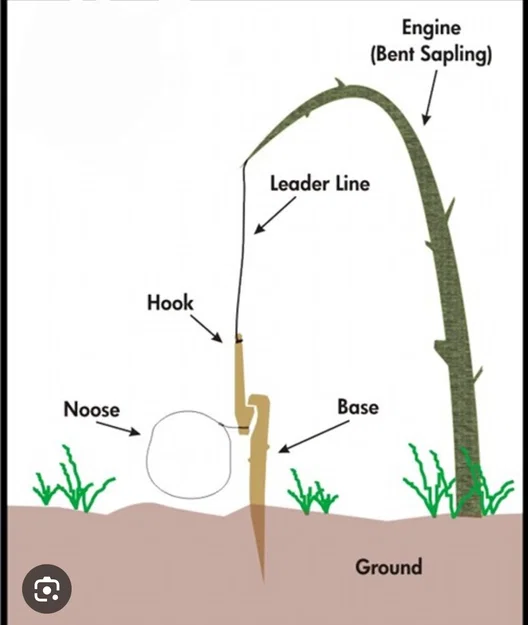 Bộ bẫy sinh tồn 3D - Thiết kế Simple Survival Trap nhỏ gọn hiệu quả - Image 3