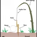 Bộ bẫy sinh tồn 3D - Thiết kế Simple Survival Trap nhỏ gọn hiệu quả - Thumbnail 3