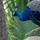 Ethan_882653