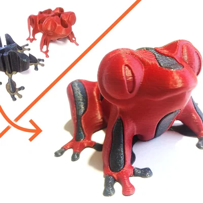 Single Extruder - Dual Color - Burp the Derpy Frog