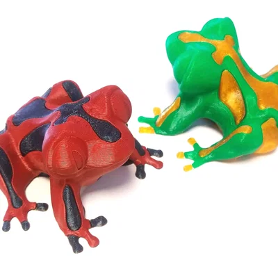 Single Extruder - Dual Color - Burp the Derpy Frog