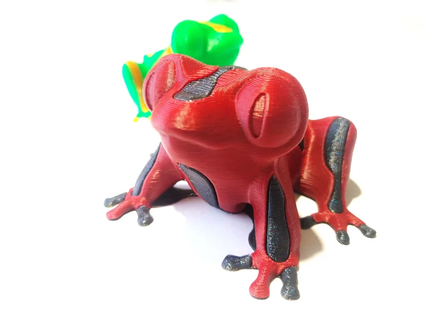 Single Extruder - Dual Color - Burp the Derpy Frog - Image 3