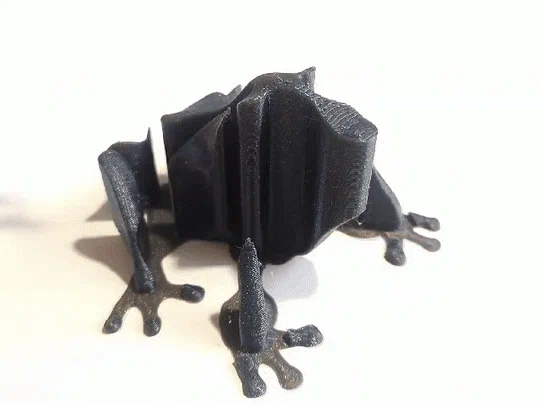 Single Extruder - Dual Color - Burp the Derpy Frog - Image 5