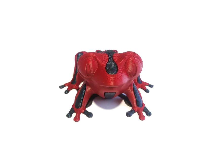 Single Extruder - Dual Color - Burp the Derpy Frog - Image 6