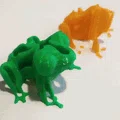 Single Extruder - Dual Color - Burp the Derpy Frog - Thumbnail 8