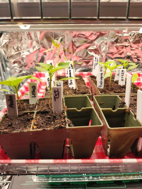 Plant Tags (Thẻ gắn cây trồng) để ghi chú và phân loại cây - Image 1