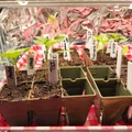 Plant Tags (Thẻ gắn cây trồng) để ghi chú và phân loại cây - Thumbnail 1