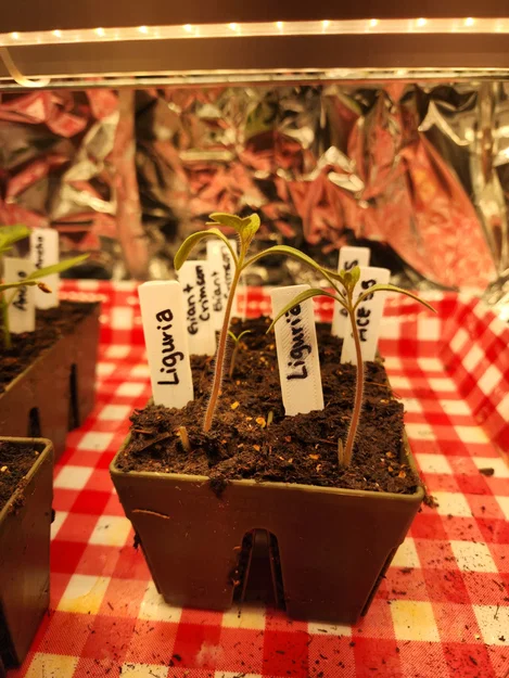 Plant Tags (Thẻ gắn cây trồng) để ghi chú và phân loại cây - Image 2