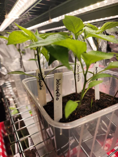 Plant Tags (Thẻ gắn cây trồng) để ghi chú và phân loại cây - Image 3