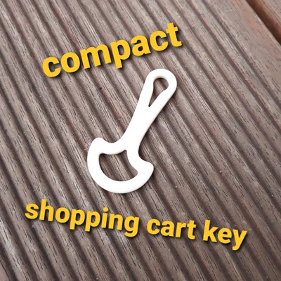 Chìa Khóa Xe Đẩy Mua Sắm (Shopping Cart Key)