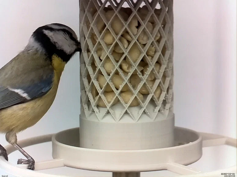 Máng ăn cho chim (Bird Feeder) - Image 1