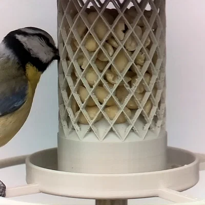 Máng ăn cho chim (Bird Feeder)