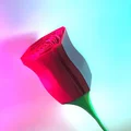 Low Poly Rose - In Vase Mode [Cập nhật!] - Thumbnail 8