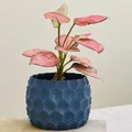 Chậu Trồng Cây – Planter Pot (Vase Mode) - Thumbnail 1