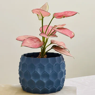 Chậu Trồng Cây – Planter Pot (Vase Mode)