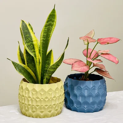 Chậu Trồng Cây – Planter Pot (Vase Mode)