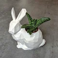Thỏ Low Poly (Tùy chọn Chậu cây/Planter) - Thumbnail 2
