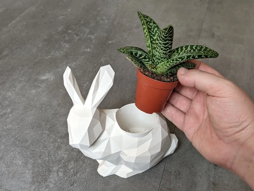 Thỏ Low Poly (Tùy chọn Chậu cây/Planter) - Image 3