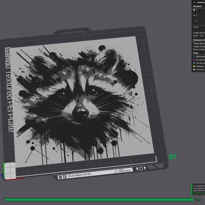 HueForge - Racoon