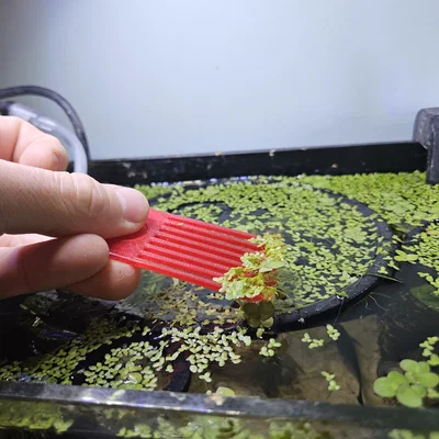 Lược vớt bèo thủy sinh - Parametric Aquarium Skimmer tiện dụng