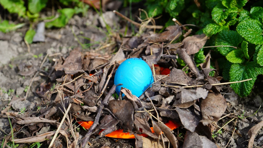 The Easter Trap – Bẫy Trứng Phục Sinh - Image 2