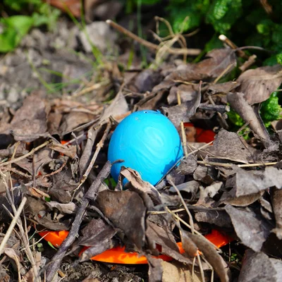 The Easter Trap – Bẫy Trứng Phục Sinh