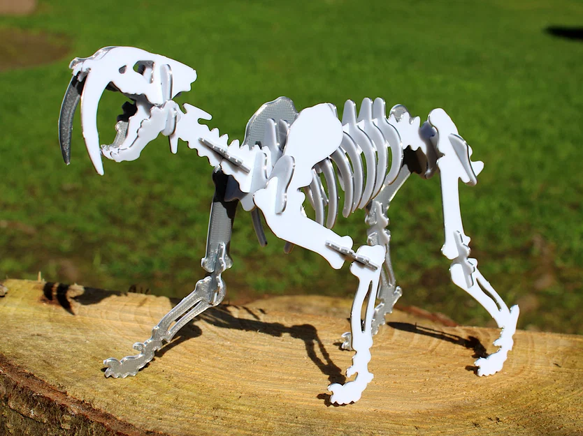 Bộ xếp hình 3D xương hổ răng kiếm Smilodon dạng Kit Card - Image 3