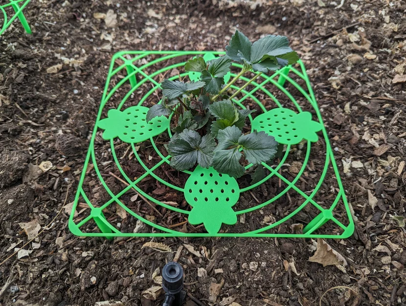 Giá đỡ dâu tây trong vườn (Garden Strawberry Support) - Image 1