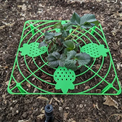 Giá đỡ dâu tây trong vườn (Garden Strawberry Support)