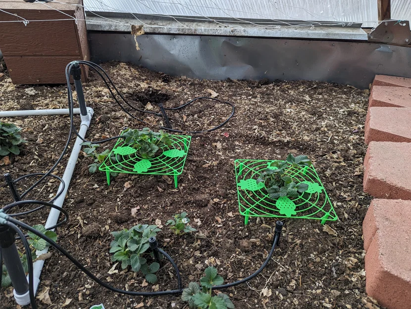 Giá đỡ dâu tây trong vườn (Garden Strawberry Support) - Image 2