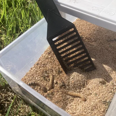 Sàng tách sâu Worm Sifter (mealworms & superworms)