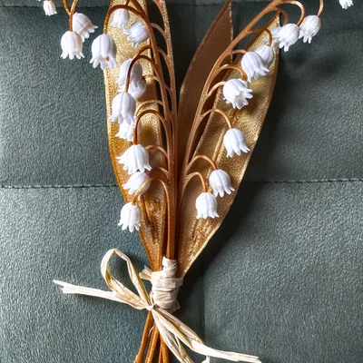 Hoa Lily of the valey (Maiglöckchen) Flower
