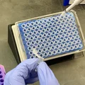 Giá đỡ khay nghiêng cho PCR & Cell Culture - Thumbnail 1