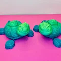 Mô hình rùa 3D siêu đáng yêu với khớp chân linh hoạt (Turtle Flexi Feet) - Thumbnail 9