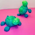 Mô hình rùa 3D siêu đáng yêu với khớp chân linh hoạt (Turtle Flexi Feet) - Thumbnail 10