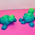 Mô hình rùa 3D siêu đáng yêu với khớp chân linh hoạt (Turtle Flexi Feet) - Thumbnail 11