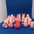 Ragnar, the Nordic Worm (Sâu chiến binh Viking Bắc Âu) - Thumbnail 8