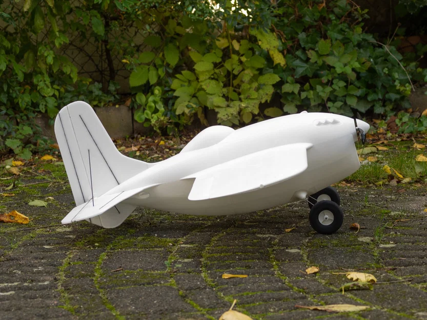 Der Pummel – Warbird RC phong cách cartoon (in 3D) - Image 6