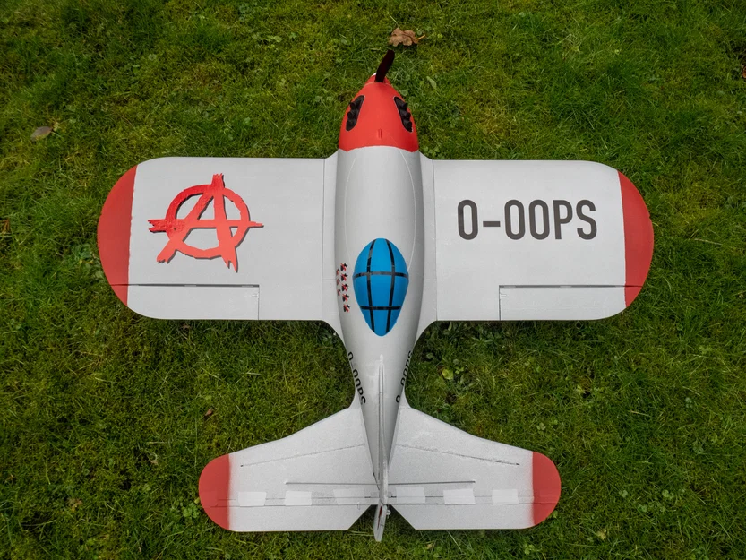 Der Pummel – Warbird RC phong cách cartoon (in 3D) - Image 9