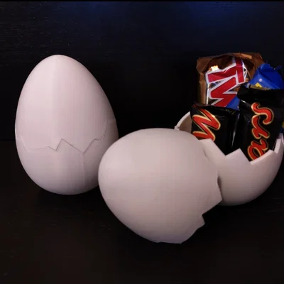 Hộp Đựng Trứng Vỡ (Broken Egg Container)