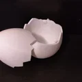 Hộp Đựng Trứng Vỡ (Broken Egg Container) - Thumbnail 2