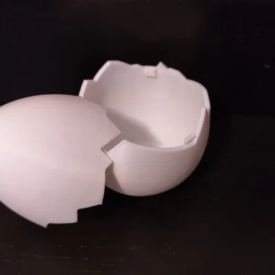 Hộp Đựng Trứng Vỡ (Broken Egg Container)