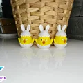 Mô hình chú gà con trong vỏ trứng trang trí Phục Sinh (Easter Chick) - Thumbnail 5