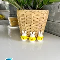 Mô hình chú gà con trong vỏ trứng trang trí Phục Sinh (Easter Chick) - Thumbnail 6