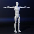 Mô hình người mẫu Dummy 3D chuẩn tỷ lệ 6ft (Miễn phí) - Thumbnail 2