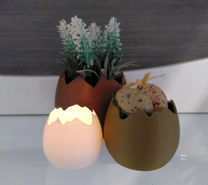 Chậu vỏ trứng (Eggshell pot) - Image 1